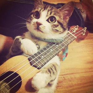 阿布夏树主演的电影在线观看
